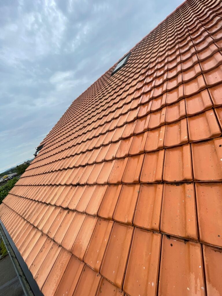 Couverture en pente forte, vue sur la plaine — Genève